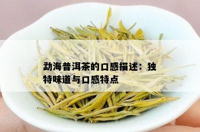 勐海普洱茶的口感描述：独特味道与口感特点