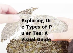 Exploring the Types of Pu'er Tea: A Visual Guide