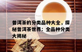 普洱茶的分类品种大全，探秘普洱茶世界：全品种分类大揭秘