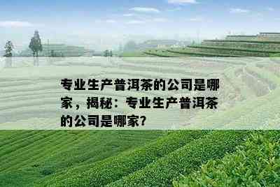 专业生产普洱茶的公司是哪家，揭秘：专业生产普洱茶的公司是哪家？