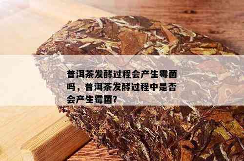 普洱茶发酵过程会产生霉菌吗，普洱茶发酵过程中是否会产生霉菌？