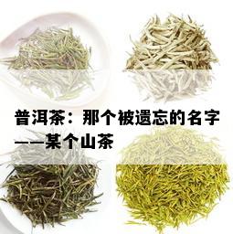 普洱茶：那个被遗忘的名字——某个山茶