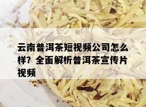 云南普洱茶短视频公司怎么样？全面解析普洱茶宣传片视频