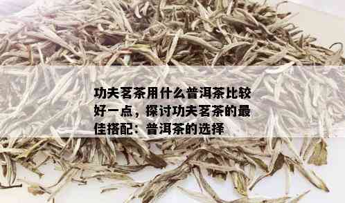 功夫茗茶用什么普洱茶比较好一点，探讨功夫茗茶的更佳搭配：普洱茶的选择