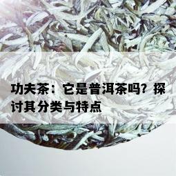 功夫茶：它是普洱茶吗？探讨其分类与特点