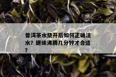 普洱茶水烧开后如何正确注水？继续沸腾几分钟才合适？