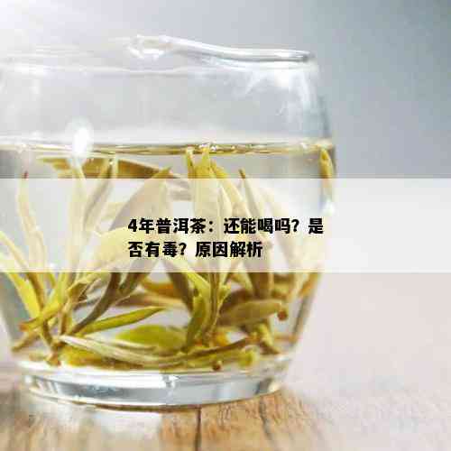 4年普洱茶：还能喝吗？是否有？原因解析