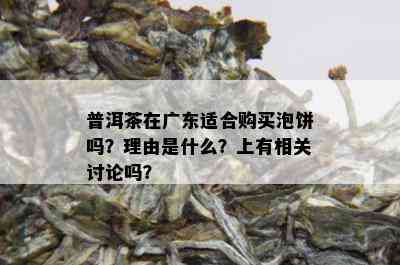 普洱茶在广东适合购买泡饼吗？理由是什么？上有相关讨论吗？