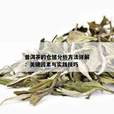 普洱茶的仓储分析方法详解：关键因素与实践技巧