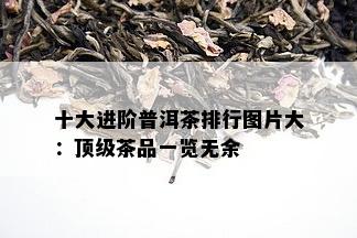 十大进阶普洱茶排行图片大：顶级茶品一览无余