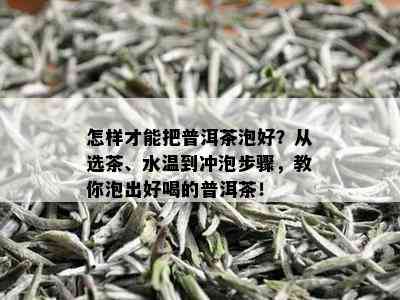 怎样才能把普洱茶泡好？从选茶、水温到冲泡步骤，教你泡出好喝的普洱茶！