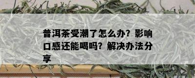 普洱茶受潮了怎么办？影响口感还能喝吗？解决办法分享