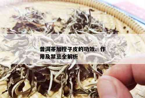 普洱茶加橙子皮的功效、作用及禁忌全解析