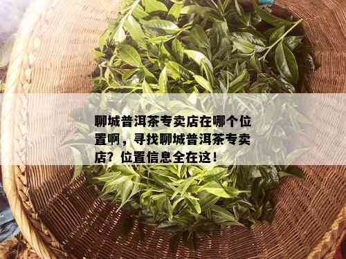 聊城普洱茶专卖店在哪个位置啊，寻找聊城普洱茶专卖店？位置信息全在这！