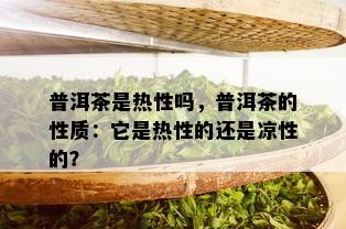 普洱茶是热性吗，普洱茶的性质：它是热性的还是凉性的？