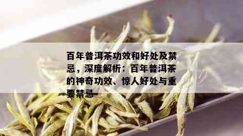 百年普洱茶功效和好处及禁忌，深度解析：百年普洱茶的神奇功效、惊人好处与重要禁忌