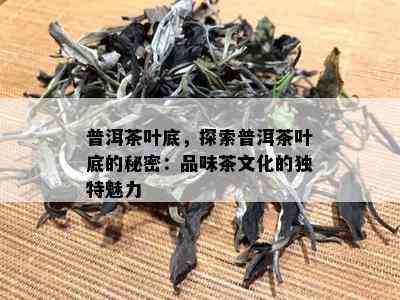 普洱茶叶底，探索普洱茶叶底的秘密：品味茶文化的独特魅力