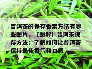 普洱茶的保存香菜方法有哪些图片，【图解】普洱茶保存方法：了解如何让普洱茶保持更佳香气和口感