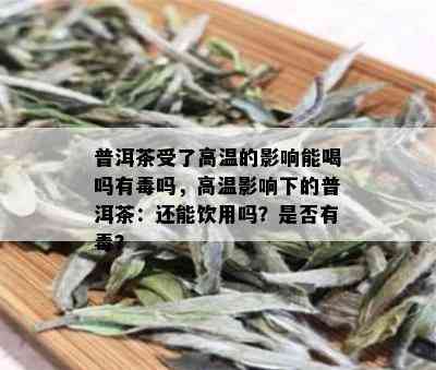 普洱茶受了高温的影响能喝吗有吗，高温影响下的普洱茶：还能饮用吗？是否有？