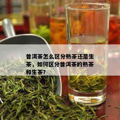 普洱茶怎么区分熟茶还是生茶，如何区分普洱茶的熟茶和生茶？