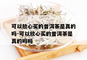 可以放心买的普洱茶是真的吗-可以放心买的普洱茶是真的吗吗