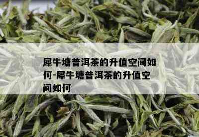 犀牛塘普洱茶的升值空间如何-犀牛塘普洱茶的升值空间如何