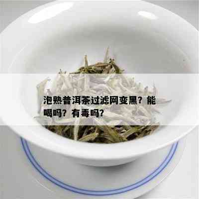 泡熟普洱茶过滤网变黑？能喝吗？有吗？