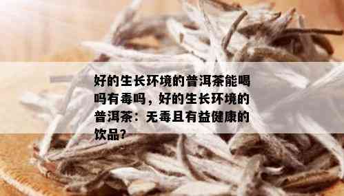 好的生长环境的普洱茶能喝吗有吗，好的生长环境的普洱茶：无且有益健康的饮品？