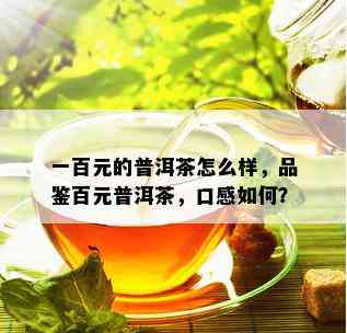 一百元的普洱茶怎么样，品鉴百元普洱茶，口感如何？