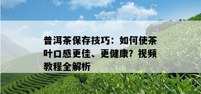 普洱茶保存技巧：如何使茶叶口感更佳、更健康？视频教程全解析