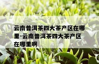 云南普洱茶四大茶产区在哪里-云南普洱茶四大茶产区在哪里啊