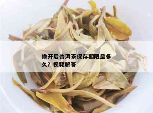 撬开后普洱茶保存期限是多久？视频解答