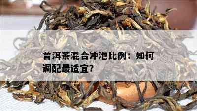 普洱茶混合冲泡比例：如何调配最适宜？