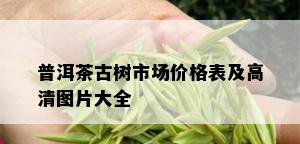 普洱茶古树市场价格表及高清图片大全