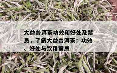 大益普洱茶功效和好处及禁忌，了解大益普洱茶：功效、好处与饮用禁忌