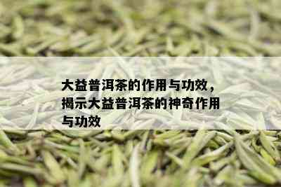 大益普洱茶的作用与功效，揭示大益普洱茶的神奇作用与功效