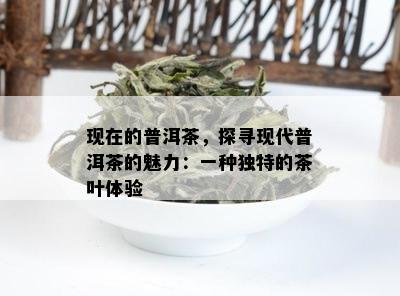 现在的普洱茶，探寻现代普洱茶的魅力：一种独特的茶叶体验