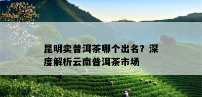 昆明卖普洱茶哪个出名？深度解析云南普洱茶市场