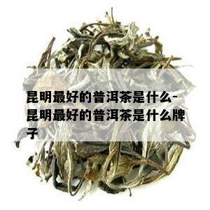 昆明更好的普洱茶是什么-昆明更好的普洱茶是什么牌子