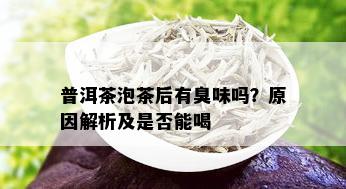 普洱茶泡茶后有臭味吗？原因解析及是否能喝