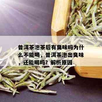 普洱茶泡茶后有臭味吗为什么不能喝，普洱茶泡出臭味，还能喝吗？解析原因