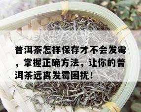 普洱茶怎样保存才不会发霉，掌握正确方法，让你的普洱茶远离发霉困扰！