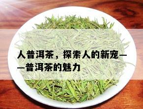 人普洱茶，探索人的新宠——普洱茶的魅力