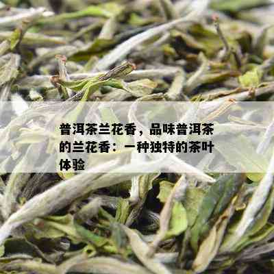 普洱茶兰花香，品味普洱茶的兰花香：一种独特的茶叶体验