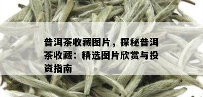 普洱茶收藏图片，探秘普洱茶收藏：精选图片欣赏与投资指南