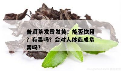 普洱茶发霉发黄：能否饮用？有吗？会对人体造成危害吗？