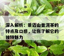 深入解析：景迈山普洱茶的特点及口感，让你了解它的独特魅力