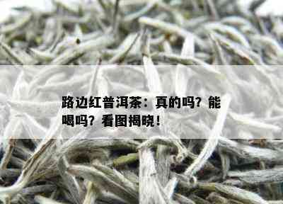 路边红普洱茶：真的吗？能喝吗？看图揭晓！