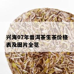 兴海07年普洱茶生茶价格表及图片全览