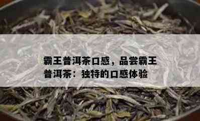 霸王普洱茶口感，品尝霸王普洱茶：独特的口感体验